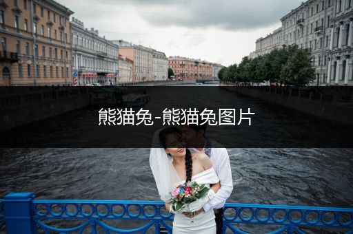 熊貓兔-熊貓兔圖片