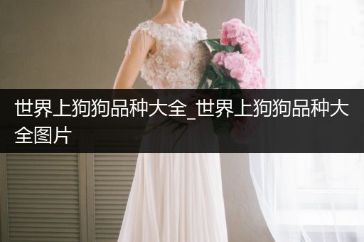 世界上狗狗品種大全_世界上狗狗品種大全圖片
