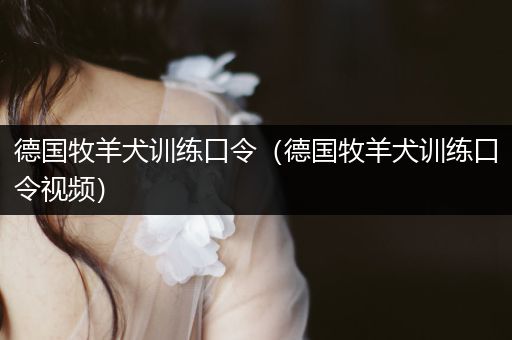 德國(guó)牧羊犬訓(xùn)練口令（德國(guó)牧羊犬訓(xùn)練口令視頻）