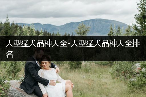 大型猛犬品種大全-大型猛犬品種大全排名