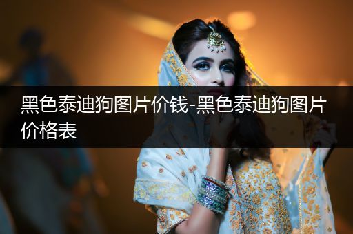 黑色泰迪狗圖片價(jià)錢-黑色泰迪狗圖片 價(jià)格表