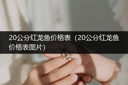 20公分紅龍魚價格表（20公分紅龍魚價格表圖片）