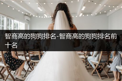 智商高的狗狗排名-智商高的狗狗排名前十名