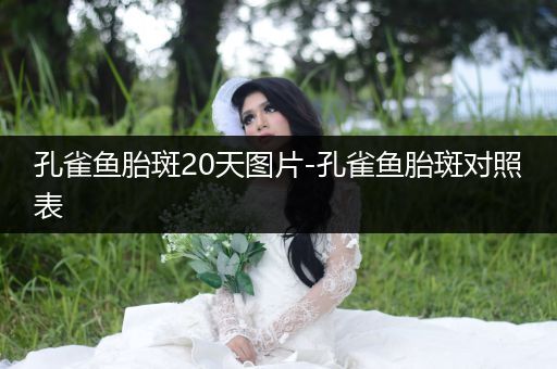 孔雀魚胎斑20天圖片-孔雀魚胎斑對(duì)照表