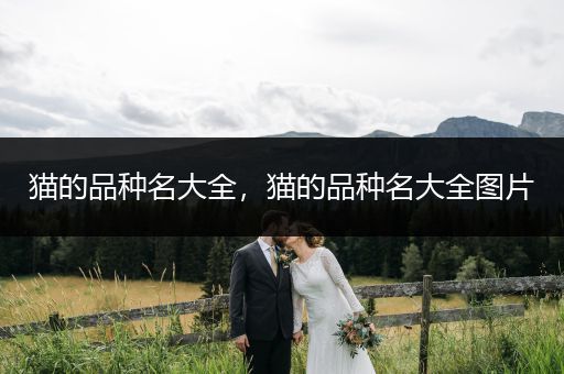 貓的品種名大全，貓的品種名大全圖片