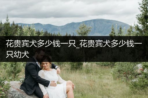 花貴賓犬多少錢一只_花貴賓犬多少錢一只幼犬