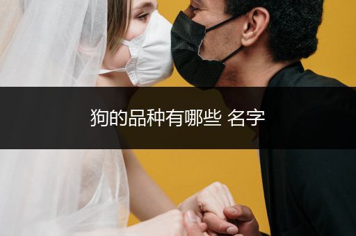 狗的品種有哪些 名字