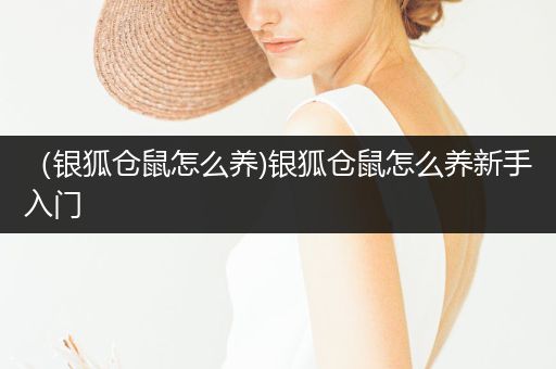 （銀狐倉鼠怎么養(yǎng))銀狐倉鼠怎么養(yǎng)新手入門