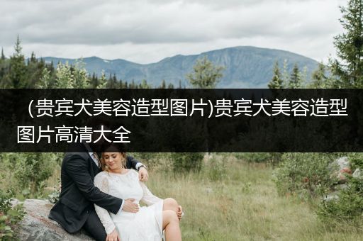 （貴賓犬美容造型圖片)貴賓犬美容造型圖片高清大全