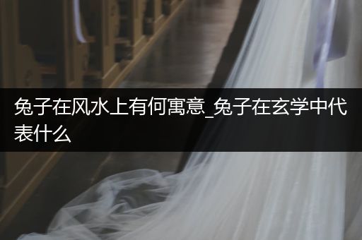 兔子在風水上有何寓意_兔子在玄學中代表什么