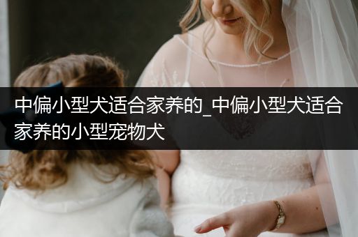 中偏小型犬適合家養(yǎng)的_中偏小型犬適合家養(yǎng)的小型寵物犬