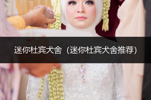 迷你杜賓犬舍（迷你杜賓犬舍推薦）