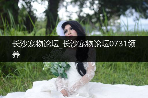 長(zhǎng)沙寵物論壇_長(zhǎng)沙寵物論壇0731領(lǐng)養(yǎng)