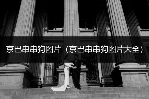 京巴串串狗圖片（京巴串串狗圖片大全）