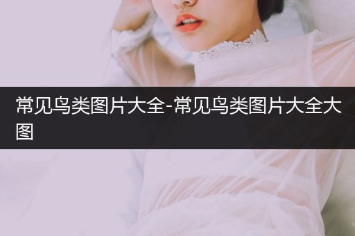 常見鳥類圖片大全-常見鳥類圖片大全大圖