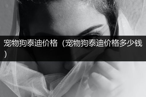 寵物狗泰迪價(jià)格（寵物狗泰迪價(jià)格多少錢）