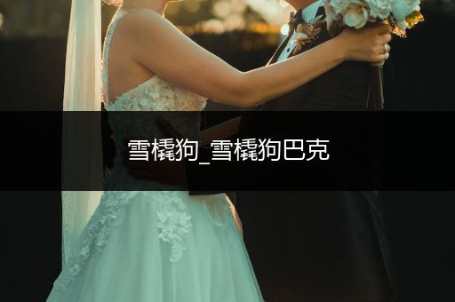 雪橇狗_雪橇狗巴克