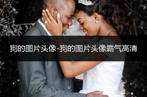 狗的圖片頭像-狗的圖片頭像霸氣高清