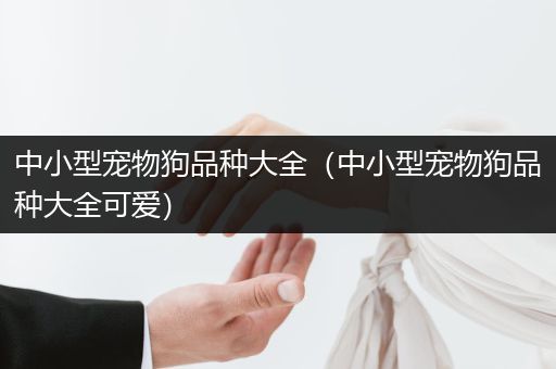 中小型寵物狗品種大全（中小型寵物狗品種大全可愛）