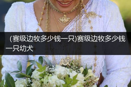 （賽級邊牧多少錢一只)賽級邊牧多少錢一只幼犬