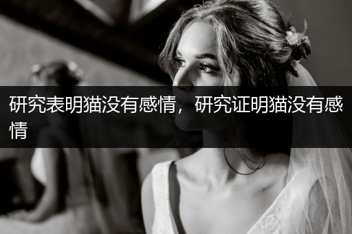 研究表明貓沒有感情，研究證明貓沒有感情
