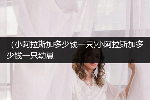 （小阿拉斯加多少錢一只)小阿拉斯加多少錢一只幼崽