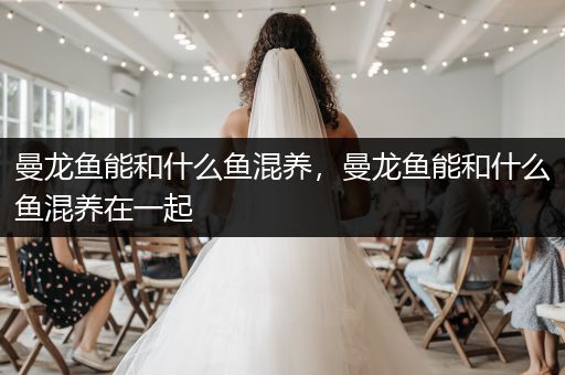 曼龍魚能和什么魚混養(yǎng)，曼龍魚能和什么魚混養(yǎng)在一起