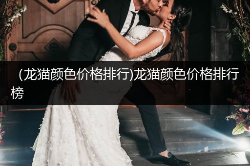 （龍貓顏色價格排行)龍貓顏色價格排行榜