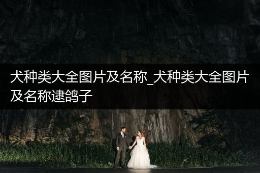 犬種類大全圖片及名稱_犬種類大全圖片及名稱逮鴿子