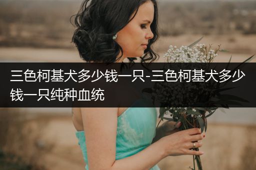 三色柯基犬多少錢一只-三色柯基犬多少錢一只純種血統(tǒng)