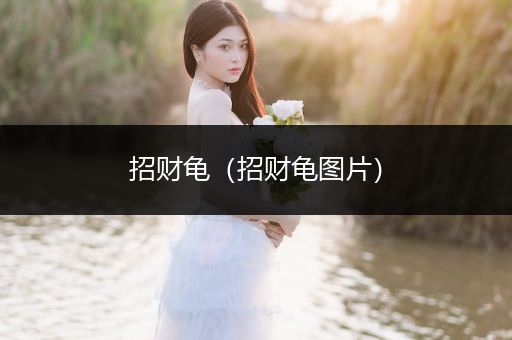 招財(cái)龜（招財(cái)龜圖片）