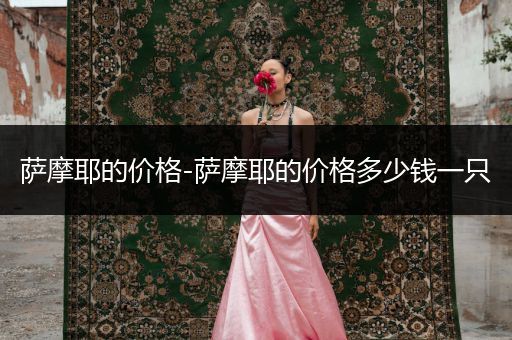 薩摩耶的價(jià)格-薩摩耶的價(jià)格多少錢一只