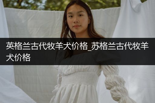 英格蘭古代牧羊犬價格_蘇格蘭古代牧羊犬價格