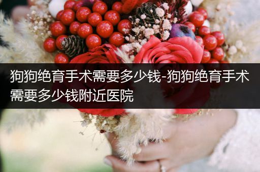 狗狗絕育手術需要多少錢-狗狗絕育手術需要多少錢附近醫(yī)院