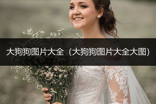 大狗狗圖片大全(大狗狗圖片大全大圖)