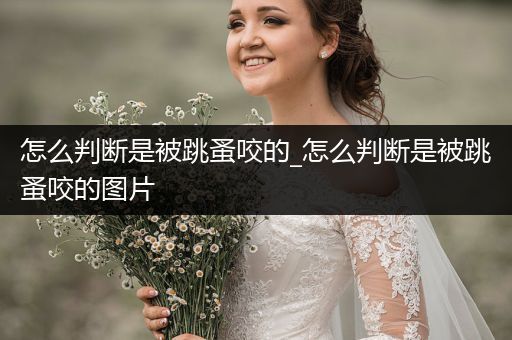 怎么判斷是被跳蚤咬的_怎么判斷是被跳蚤咬的圖片