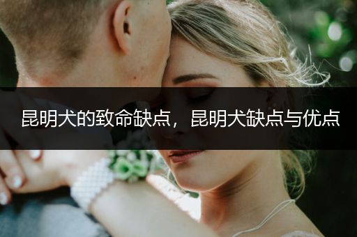 昆明犬的致命缺點(diǎn)，昆明犬缺點(diǎn)與優(yōu)點(diǎn)