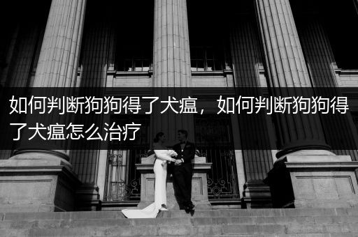 如何判斷狗狗得了犬瘟，如何判斷狗狗得了犬瘟怎么治療