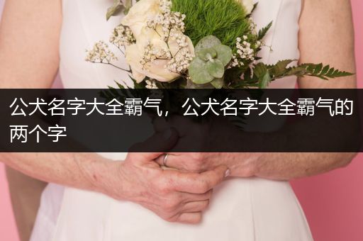 公犬名字大全霸氣，公犬名字大全霸氣的兩個(gè)字
