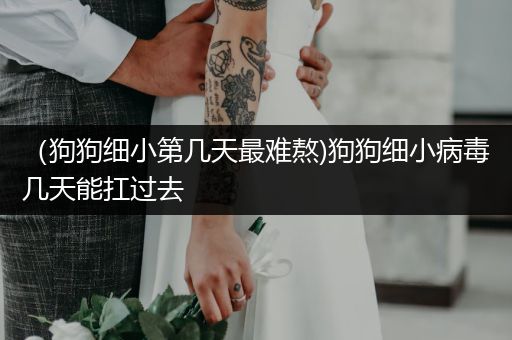 （狗狗細(xì)小第幾天最難熬)狗狗細(xì)小病毒幾天能扛過去