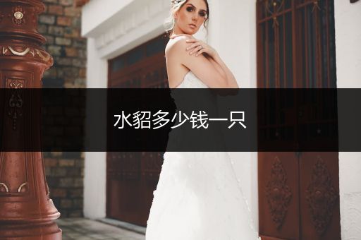 水貂多少錢一只