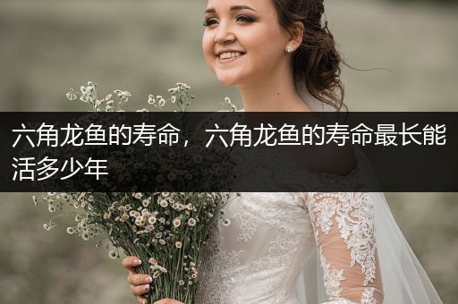 六角龍魚的壽命，六角龍魚的壽命最長能活多少年