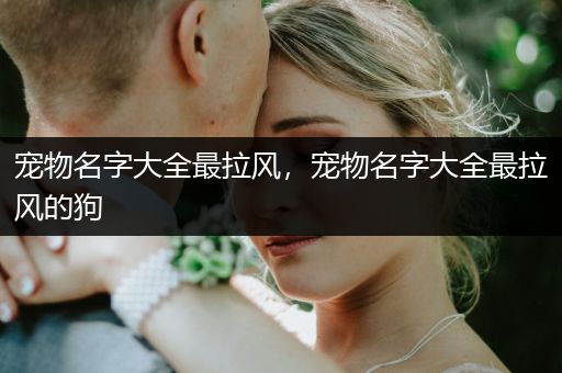 寵物名字大全最拉風(fēng)，寵物名字大全最拉風(fēng)的狗