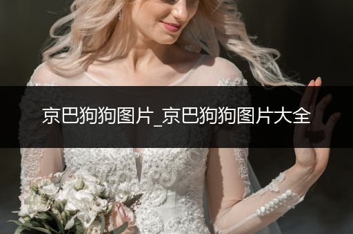 京巴狗狗圖片_京巴狗狗圖片大全