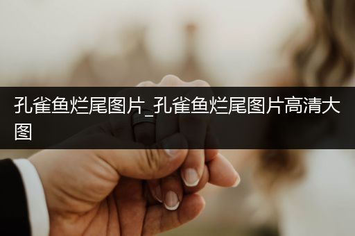 孔雀魚爛尾圖片_孔雀魚爛尾圖片高清大圖