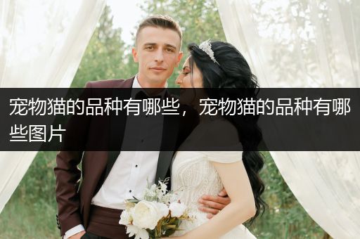 寵物貓的品種有哪些，寵物貓的品種有哪些圖片