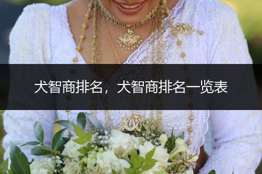 犬智商排名，犬智商排名一覽表