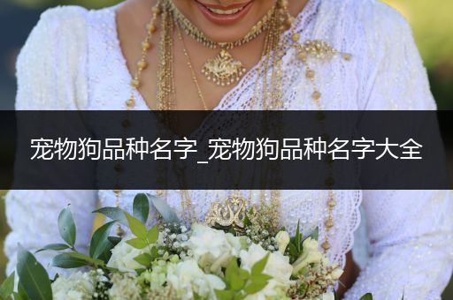 寵物狗品種名字_寵物狗品種名字大全