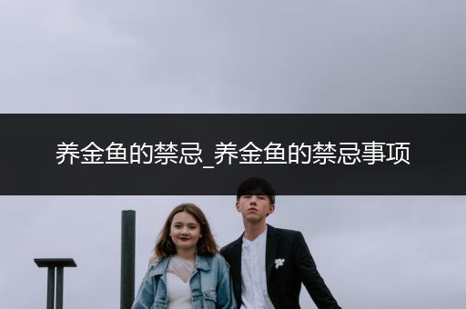 養(yǎng)金魚(yú)的禁忌_養(yǎng)金魚(yú)的禁忌事項(xiàng)