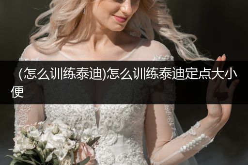 （怎么訓(xùn)練泰迪)怎么訓(xùn)練泰迪定點(diǎn)大小便